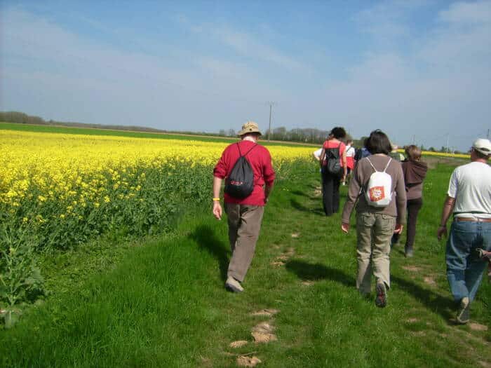 randonnee balade nature la roche posay 45 - Tourisme Vienne