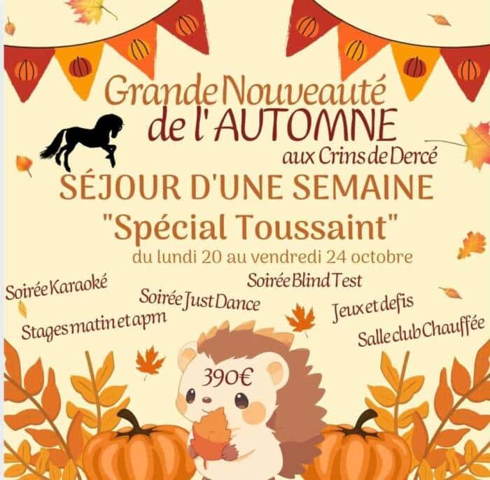 crins derce 1 - Tourisme Vienne