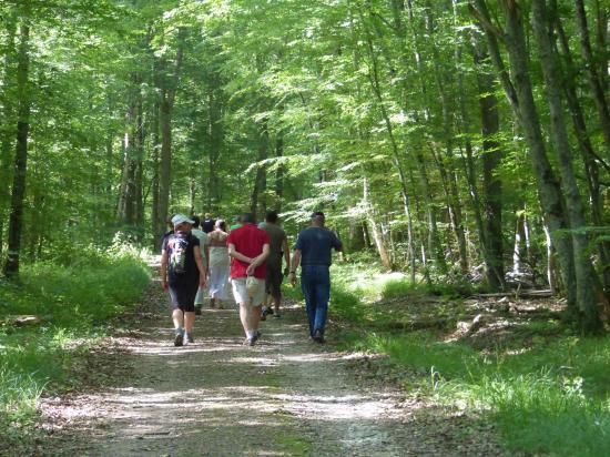 rando libre de droit - Tourisme Vienne