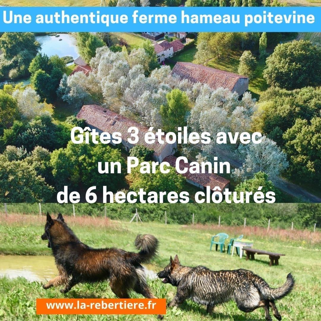 Parc canin