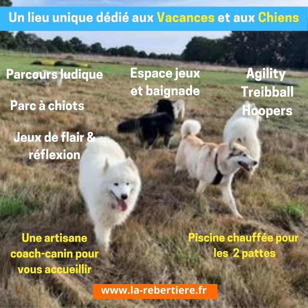 Le Parc Canin de La Rebertière