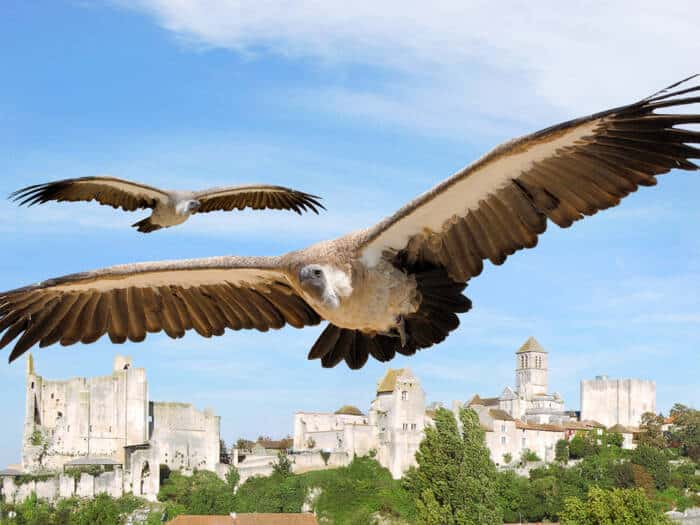 chauvigny geants ciel1 - Tourisme Vienne