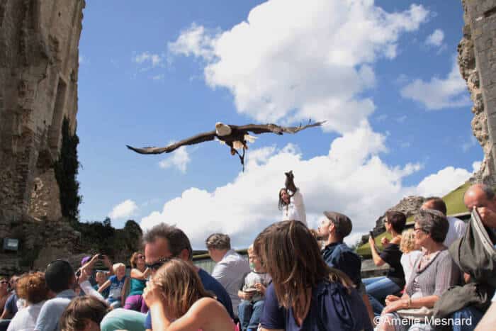 gigantes de chauvigny ciel81 - Turismo Vienne