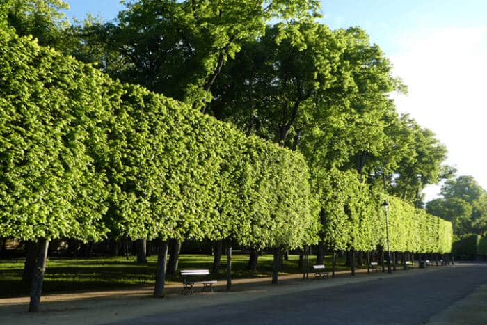 Parc de Blossac à Poitiers